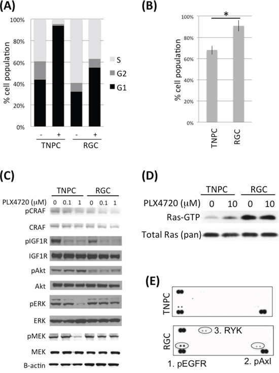 DBTRG-05MG RGC-TNPC cell pair comparison.