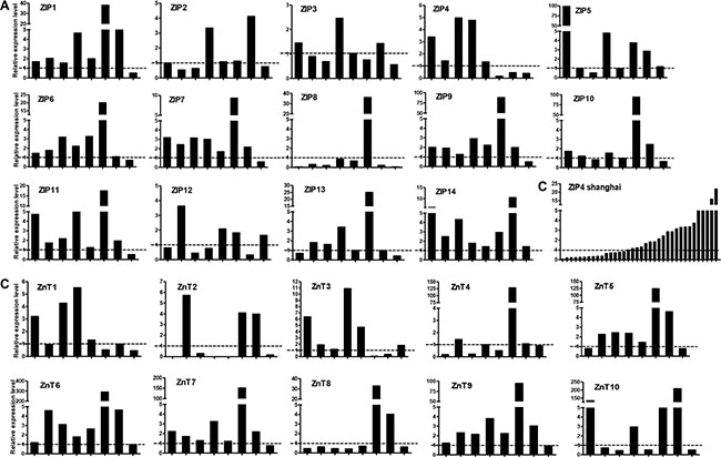 Relative mRNA expression of Zn transporters in lung cancer tissues.