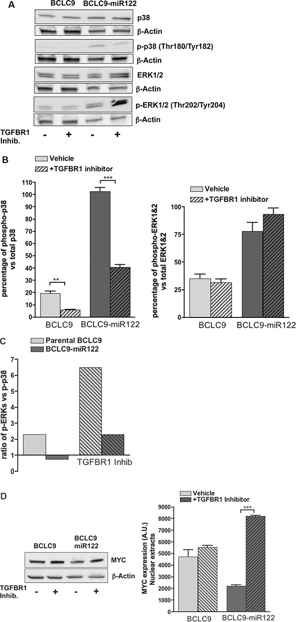 TGF-&#x03B2;-R1 kinase inhibition in BCLC9-miR122.