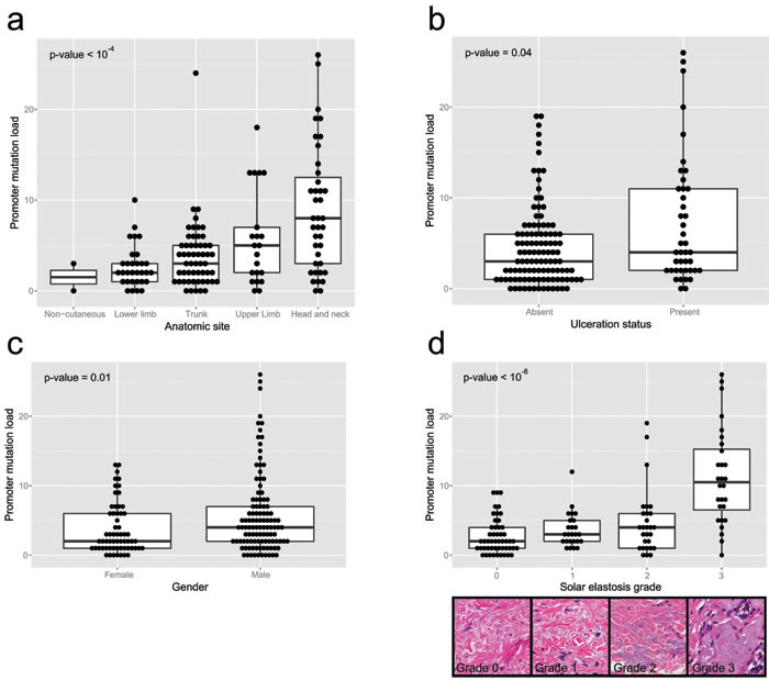 Clinicopathologic parameters compared to promoter mutation load for the 170 clinical melanoma samples, using the multiplex PCR assay.