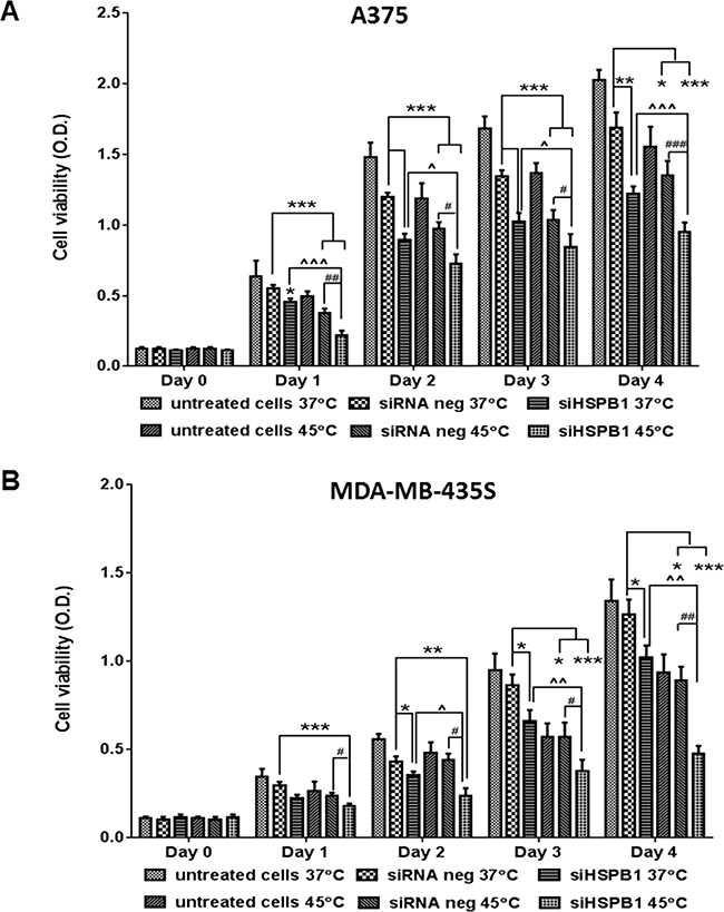 The effect of hyperthermia (45&#x00B0;C) and HSPB1 knock down on cell viability of A375 A. and MDA-MB-435S B. cell lines.