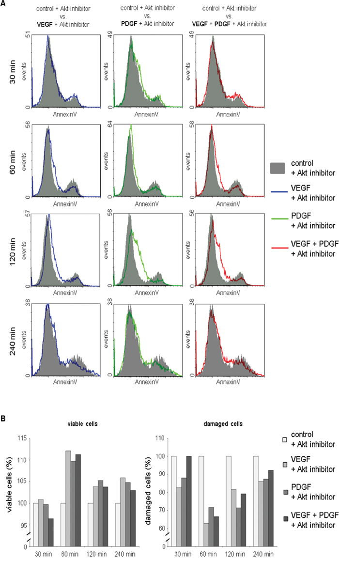 Reduced cytotoxicity of Akt inhibition after additional treatment with PDGF and/or VEGF in AnnexinV apoptosis assay.