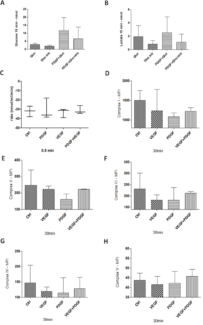 Glucose and Lactate measurement, Oxygen consumption, and mitochondrial complexes activity in HT29 cells.