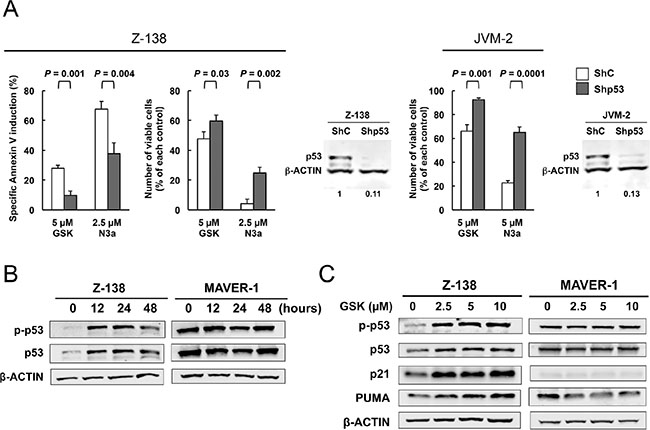 The PPM1D inhibitor GSK2830371 induces cell cycle arrest and apoptosis in mantle cell lymphoma (MCL) cells partially in a p53-dependent manner.