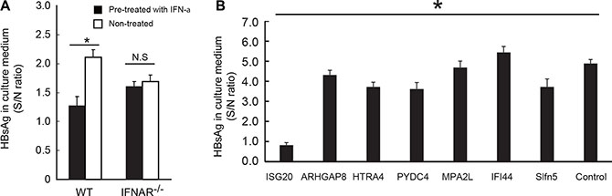 Identification of ISG20 as an inhibitor of HBV replication from interferon-inducible genes.