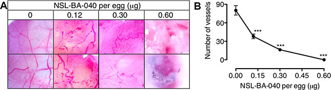PCAIs disrupt neovasculization in the CAM angiogenesis assay.