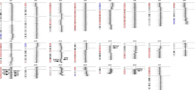 OncoScan Result for RD_009.