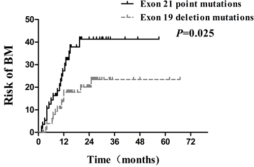 Comparison of the actuarial risk for developing BM between exon 21 point mutations and exon 19 deletion mutations.