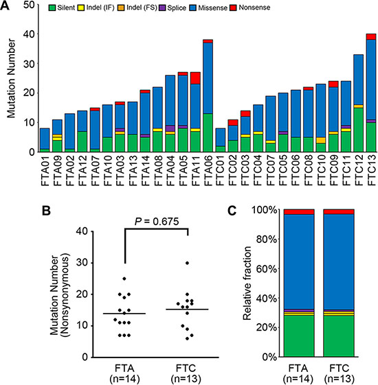 The mutational features of 27 thyroid follicular tumor genomes.