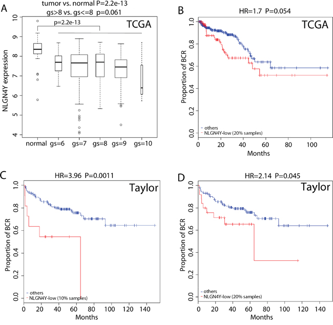 NLGN4Y is a regulator of BCR.