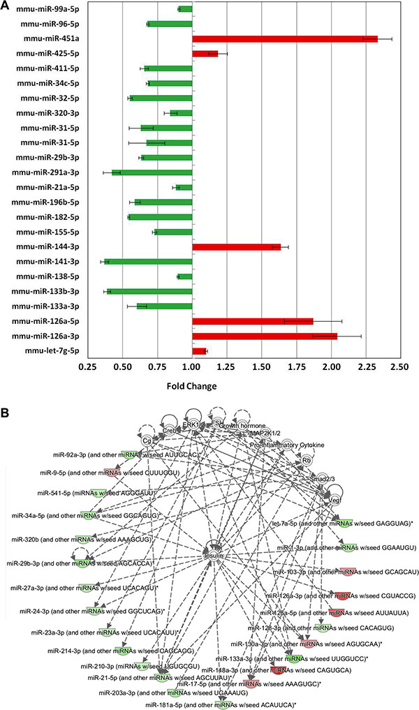 Analysis of statistically significant (P &#x003C; 0.05) miRNAs involved in brain cancer development in Ptch1+/&#x2212; GCPs after 1 Gy of X-rays with respect to the irradiated WT counterpart.