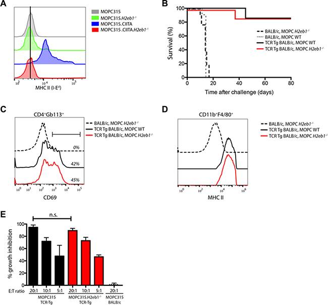 MHC II expression on tumor cells is not required for CD4+ T cell immunoprotection.