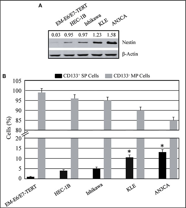 Expression of Nestin in immortalized endometrial epithelial EM-E6/E7-TERT cells and endometrial cancer lines.