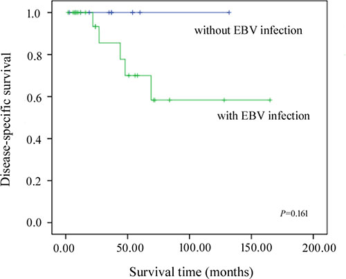 Kaplan-Meier disease-specific survival curves for patients with and without EBV infection.