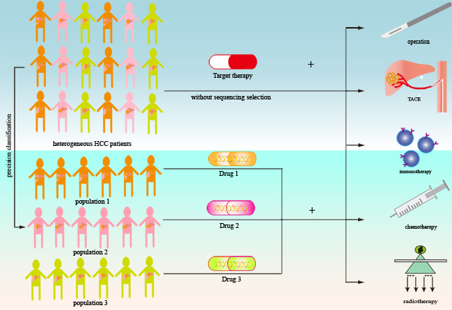 Schematic of combination treatment based on targeted therapy in advanced hepatocellular carcinoma.