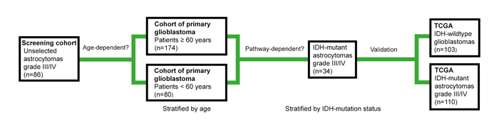 Illustration of the study design.