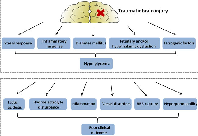 Figure illustrating hypothetical mechanisms: hyperglycemia in patients with traumatic brain injury (upper panel); and explaining a detrimental effect of hyperglycemia on clinical outcome (lower panel).