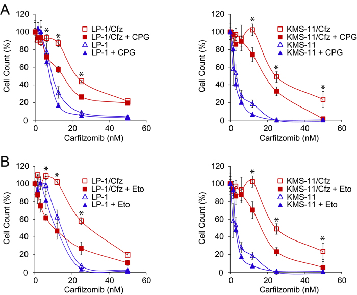 Inhibition of glutathione homeostasis or FAO sensitizes LP-1/Cfz and KMS-11/Cfz cells to carfilzomib.