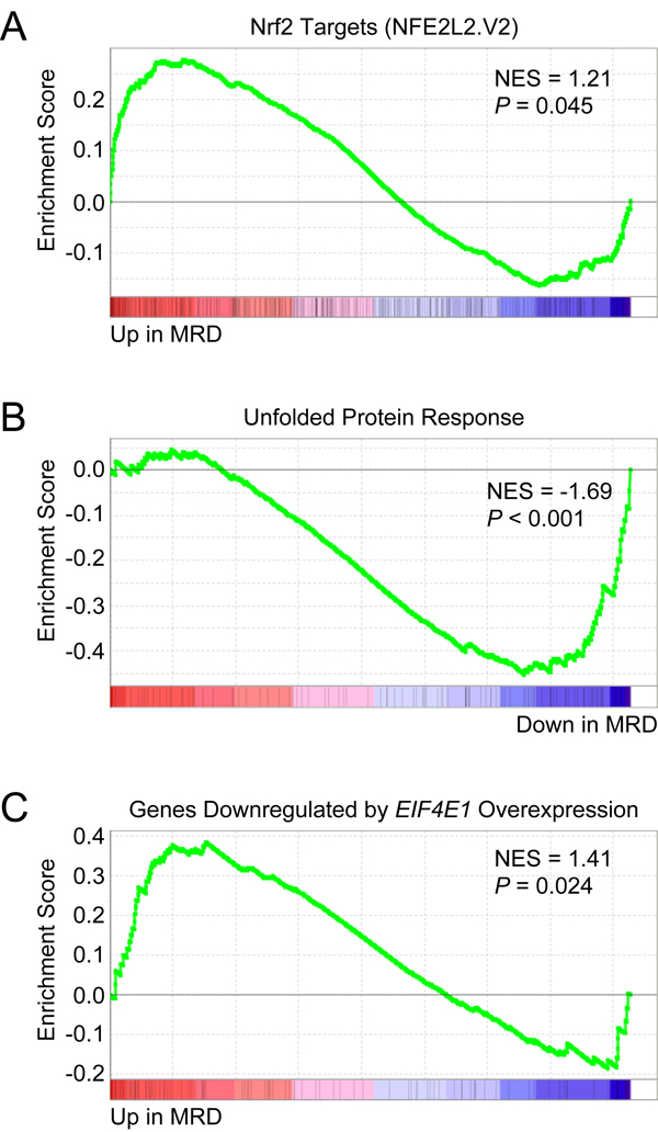 Chemoresistant minimal residual disease (MRD) cells from MM patients have increased