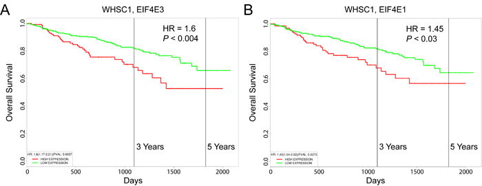 Prognostic value of