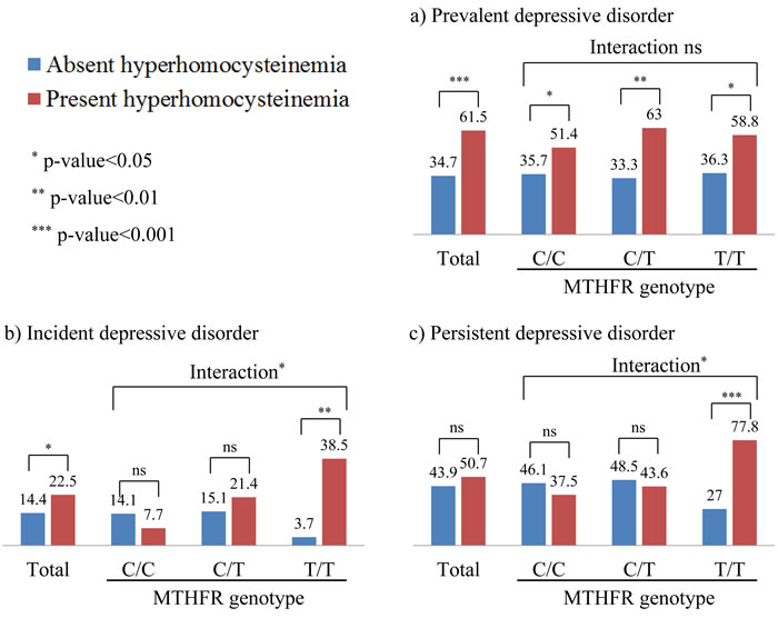 Depressive status by hyperhomocysteinemia and methylenetetrahydrofolate reductase (MTHFR) genotype.