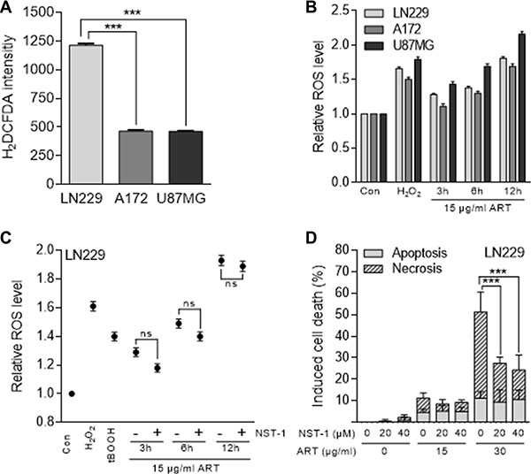 ROS formation measured with the H2DCFDA assay and cell death induction in glioblastoma cells (LN229, A172, U87MG) following treatment with ART.