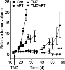 Tumor growth after subcutaneous implantation of U87MG&#x0394; cells in nude mice non-treated and treated with TMZ, ART and TMZ (single dose) followed by repeated doses of ART.