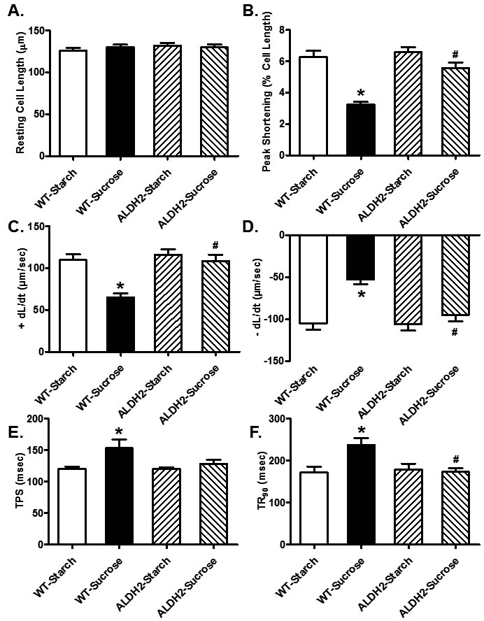 Effect of 8 weeks of sucrose diet (starch as control diet) intake on cardiomyocyte contractile function in WT and ALDH2 transgenic mice. (