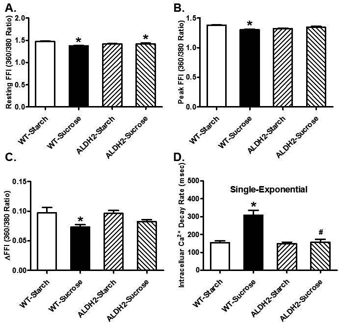 Effect of 8 weeks of sucrose diet (starch as control diet) intake on intracellular Ca