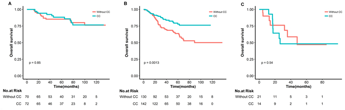 Kaplan-Meier survival curves in nasopharyngeal carcinoma subgroups underwent IMRT with or without concurrent chemotherapy for T3N0-1(A), T4N0-1/T1-4N2(B) and T1-4N3(D)