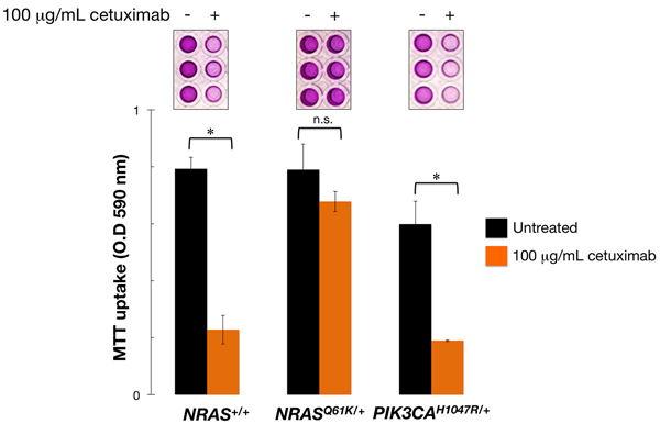 Mono-allelic activation of