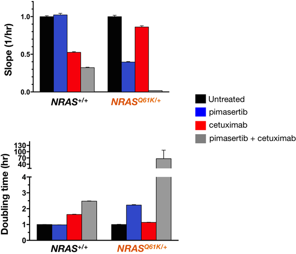 MEK1/2 inhibitor and cetuximab synergistically decrease the proliferation rate of