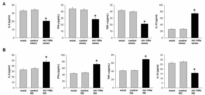 miR-146a inhibits pro-inflammatory cytokines and increase anti-inflammatory cytokine in human trophoblast cell line.