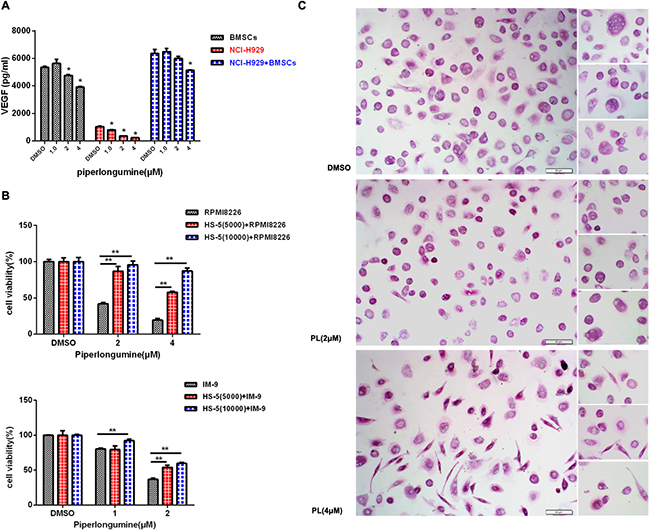 Piperlongumine targeted MM cells in the BM microenvironment and inhibited osteoclast formation.