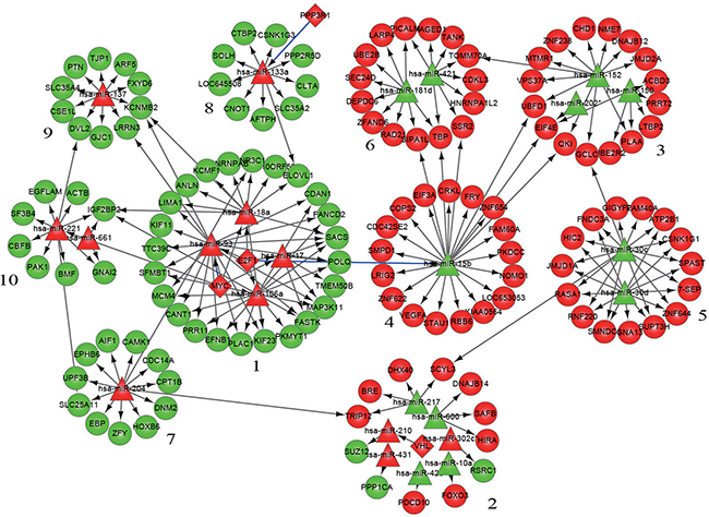 Modularization of the gene-regulatory network linked to differentiation syndrome.