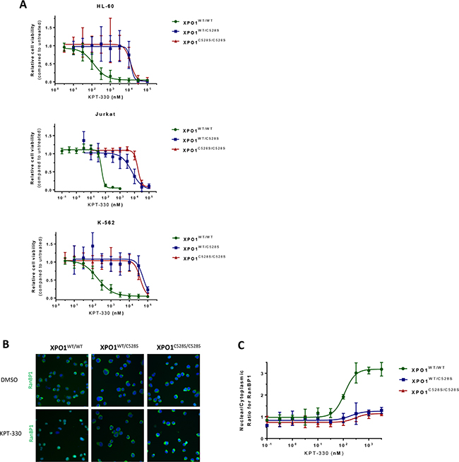 heterozygous substitution of cysteine528 in XPO1 by serine confers drug resistance.