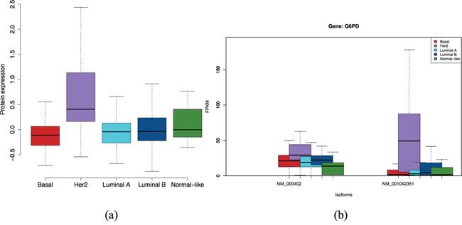 Expression at protein level a. and isoform level b. of G6PD gene. Isoform NM_001042351 and the protein are specific to Her2 subtype.