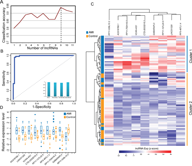 Identification and predictive value of SVM-based lncRNA signature in AMI diagnosis from the discovery cohort.