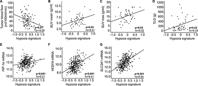 Hypoxia gene signature correlates to imaging and tissue biomarkers.