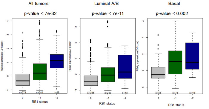 Association between RBsig expression levels and genetic RB1 status.