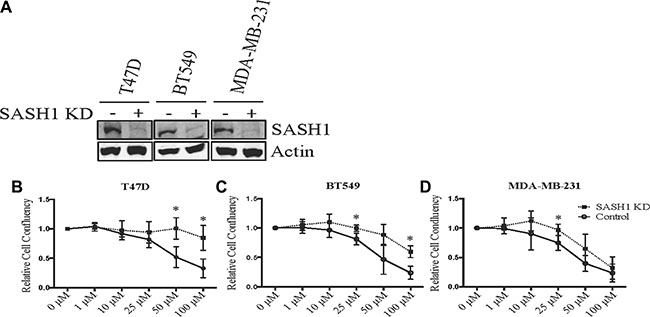 SASH1 depletion partially rescues chloropyramine-induced apoptosis in breast cancer cell lines.