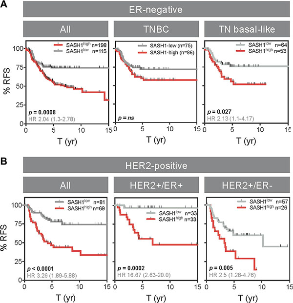 High SASH1 expression is an independent marker of poor prognosis in ER-negative and HER2-positive breast cancer subtypes.