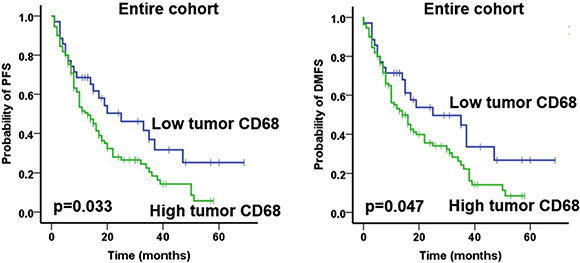 Prognostic impact of tumor compartment CD68 expression on progression-free survival (PFS) and and distant metastases free survival (DMFS) in the entire cohort, as indicated.