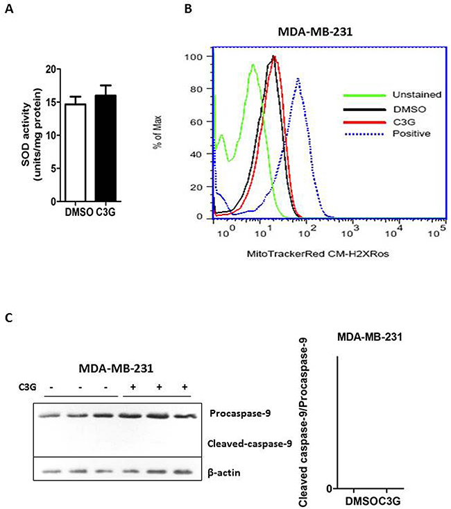 Cy-3-glu induces apoptosis of the MDA-MB-231 TNBC cells via the non-mitochondrial (extrinsic) pathway.