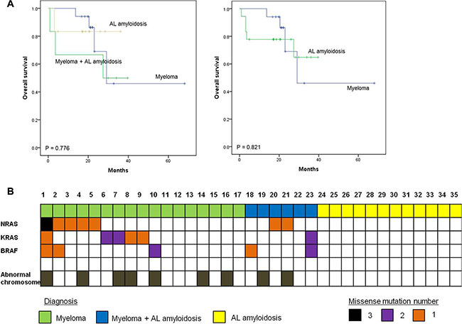 Survival plots for multiple myeloma patients with or without amyloidosis.