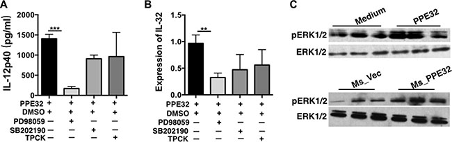 Signaling pathways underlying PPE32-stimulated pro-inflammatory response in THP-1 macrophages.
