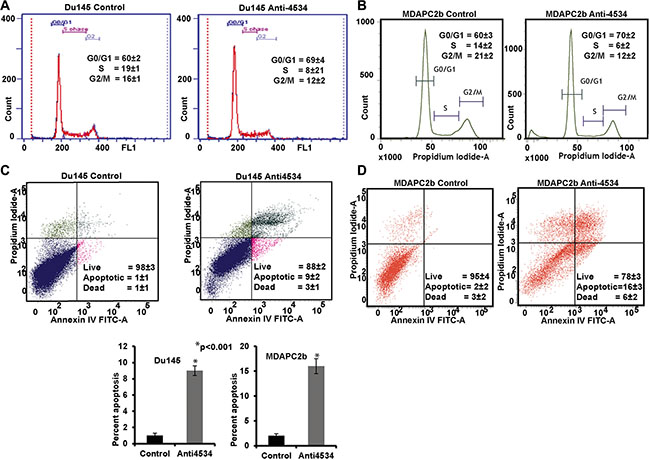 Knockdown of miR-4534 induces G0/G1 cell cycle arrest and apoptosis in prostate cancer cells.