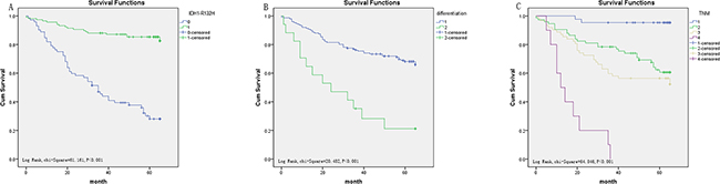 Survival curves of CRC by the Kaplan&#x2013;Meier method and log-rank test.