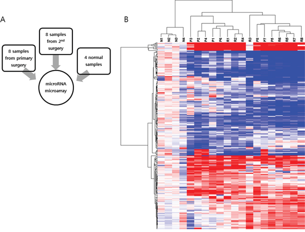 MicroRNA microarray analysis.