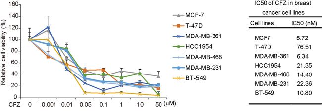 Carfilzomib shows cytotoxic effects on breast cancer cells.